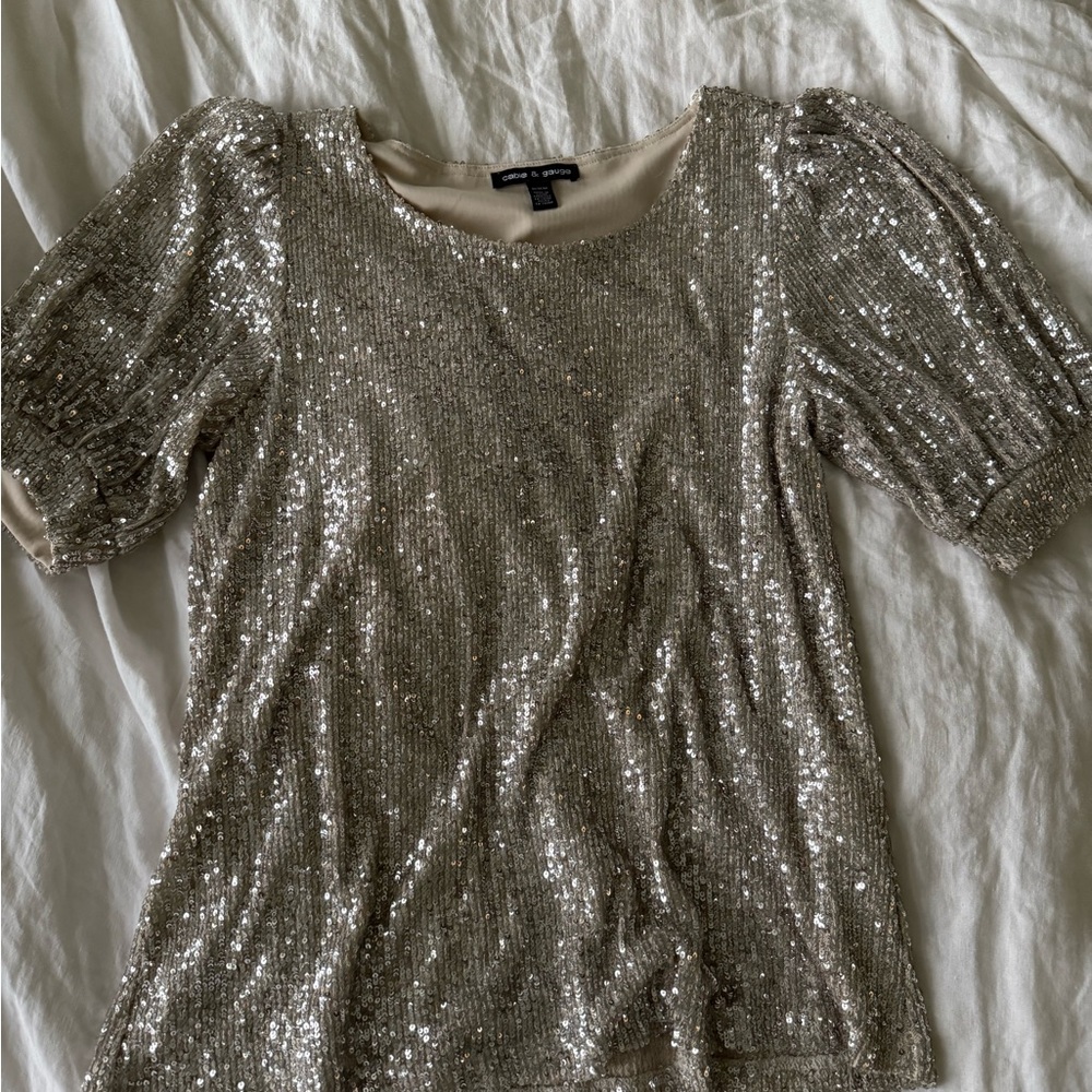 Cable & Gauge Silver Sequin Puffed Blouse